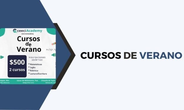 Cursos De Verano